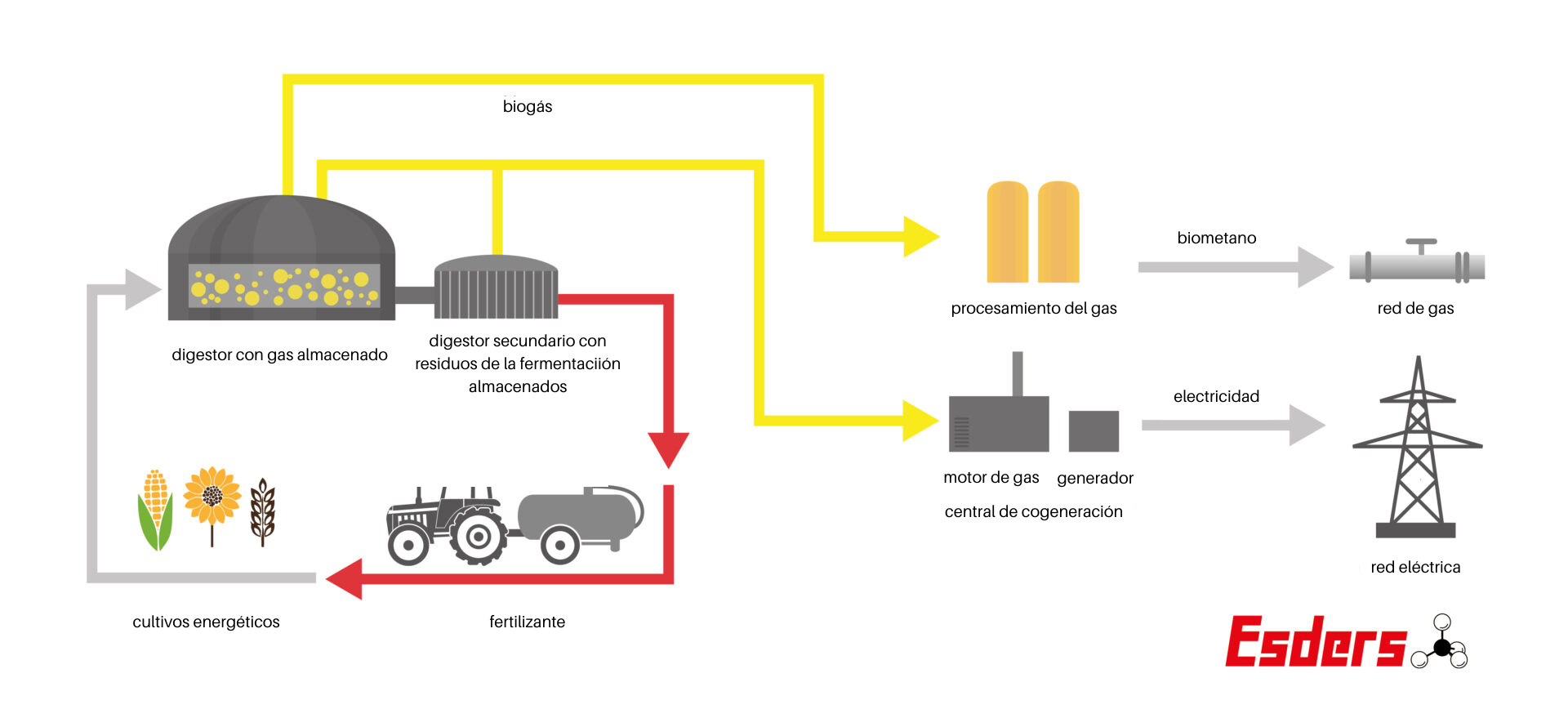 estructura de una planta de biogás gráfico