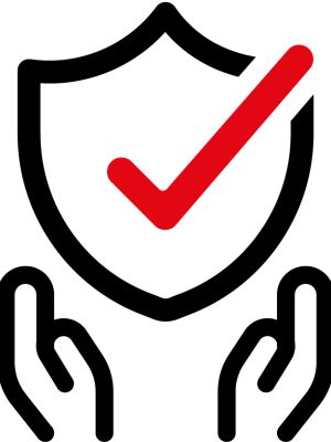 Icon_Full-Service-rot.jpg